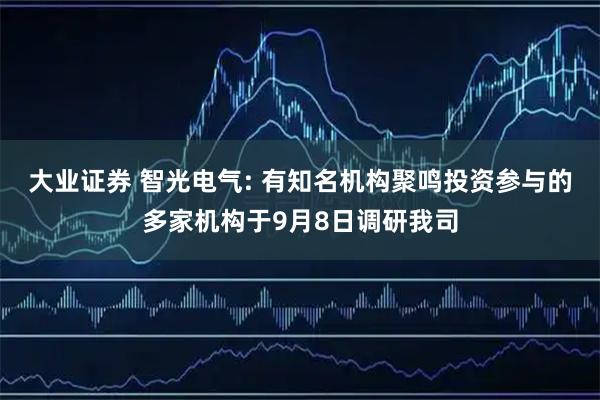 大业证券 智光电气: 有知名机构聚鸣投资参与的多家机构于9月8日调研我司