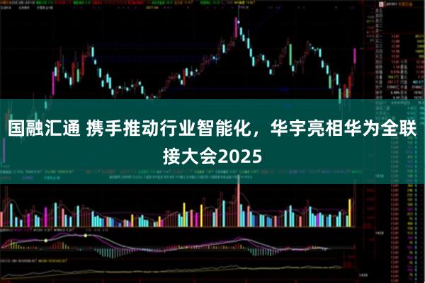 国融汇通 携手推动行业智能化，华宇亮相华为全联接大会2025