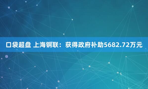 口袋超盘 上海钢联：获得政府补助5682.72万元