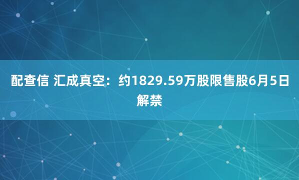 配查信 汇成真空：约1829.59万股限售股6月5日解禁